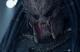 Avp Alien Vs Predator Original Screen Used Elder Predator Dreadlock Movie Prop