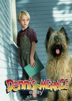 Dennis the Menace 1993 original screen used movie prop DOG COLLAR vintage dogtag
