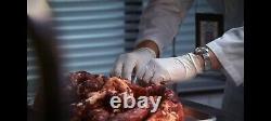 Dexter Human Intestines and Organs Screen Used TV Prop Original Showtime COA