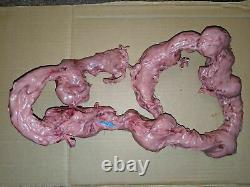 Extremely Rare! Fortitude Original Screen Used Guts Intestines Movie Prop