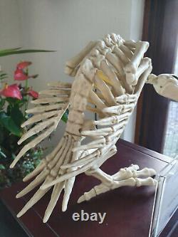 Extremely Rare! Hellfest Original Screen Used Dinosaur Bird Skeleton Figure Prop