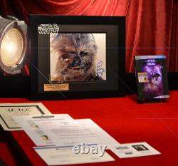 PETER MAYHEW Signed Autograph, Frame, Prop CHEWBACCA Hair, STAR WARS IV, DVD COA