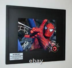 STAN LEE Signed Spider-Man AUTOGRAPH Rare Screen-Used COSTUME, WEB piece DVD COA