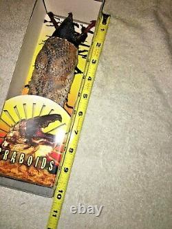 Screen used GRABOID ACTION FIGURE from the TREMORS/KEVIN BACON 2018 TV PILOT