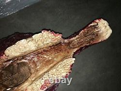 Screen used RANCID HORSE HEAD PROP. Used in upcoming BLUMHOUSEINTO THE DARK