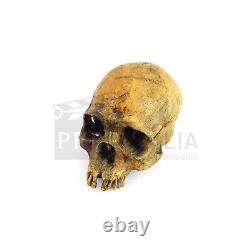 THE 13TH WARRIOR Skull Screen Used Movie Prop (0012-6286)