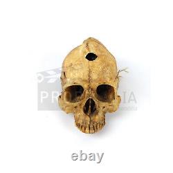 THE 13TH WARRIOR Wendol Staff Skull Screen Used Movie Prop (0011-6245)
