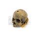 The 13th Warrior Wendol Staff Skull Screen Used Movie Prop (0017-6246)