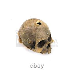 THE 13TH WARRIOR Wendol Staff Skull Screen Used Movie Prop (0017-6246)