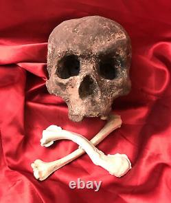 The WALKING DEAD Film Set Screen Used Costume Prop Human Skull Section & 2 Bones