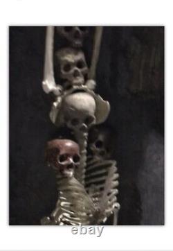 The WALKING DEAD Film Set Screen Used Costume Prop Human Skull Section & 2 Bones